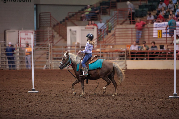 www.ngaphoto.com 2015 Georgia Federation of Saddle Clubs Championship Horse Show