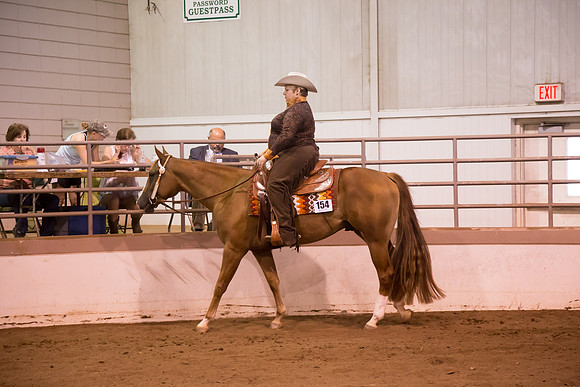 www.ngaphoto.com 2015 Georgia Federation of Saddle Clubs Championship Horse Show