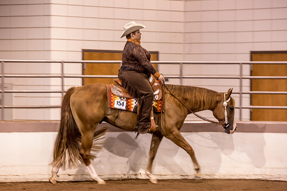 www.ngaphoto.com 2015 Georgia Federation of Saddle Clubs Championship Horse Show