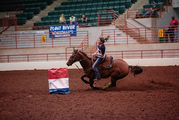 www.ngaphoto.com 2015 Georgia Federation of Saddle Clubs Championship Horse Show