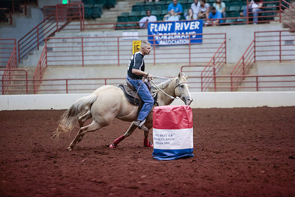 www.ngaphoto.com 2015 Georgia Federation of Saddle Clubs Championship Horse Show