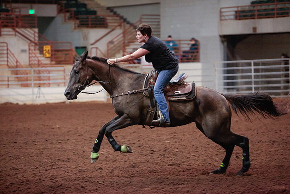 www.ngaphoto.com 2015 Georgia Federation of Saddle Clubs Championship Horse Show