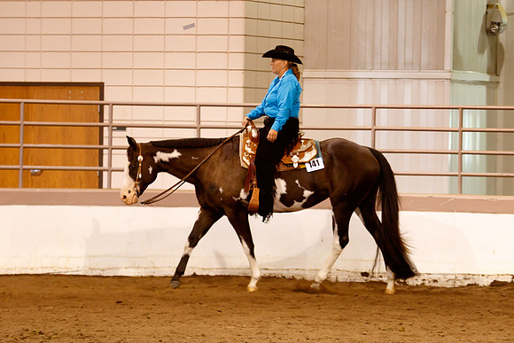 www.ngaphoto.com 2015 Georgia Federation of Saddle Clubs Championship Horse Show