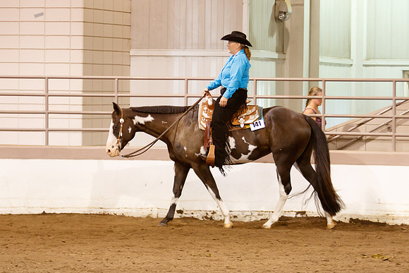 www.ngaphoto.com 2015 Georgia Federation of Saddle Clubs Championship Horse Show