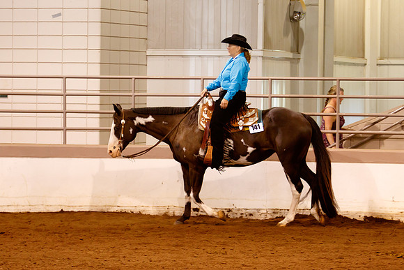 www.ngaphoto.com 2015 Georgia Federation of Saddle Clubs Championship Horse Show