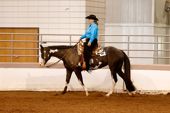 www.ngaphoto.com 2015 Georgia Federation of Saddle Clubs Championship Horse Show