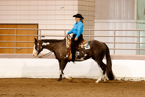 www.ngaphoto.com 2015 Georgia Federation of Saddle Clubs Championship Horse Show