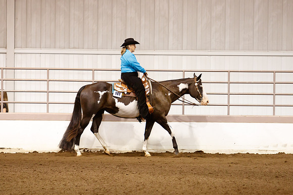 www.ngaphoto.com 2015 Georgia Federation of Saddle Clubs Championship Horse Show