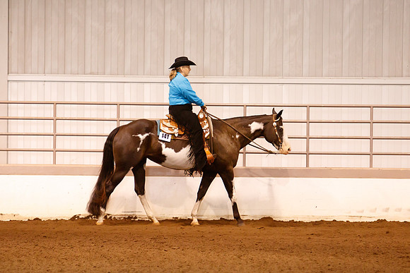www.ngaphoto.com 2015 Georgia Federation of Saddle Clubs Championship Horse Show