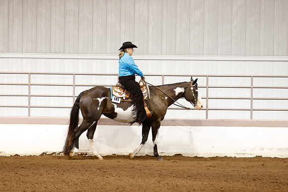 www.ngaphoto.com 2015 Georgia Federation of Saddle Clubs Championship Horse Show