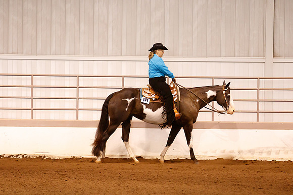 www.ngaphoto.com 2015 Georgia Federation of Saddle Clubs Championship Horse Show