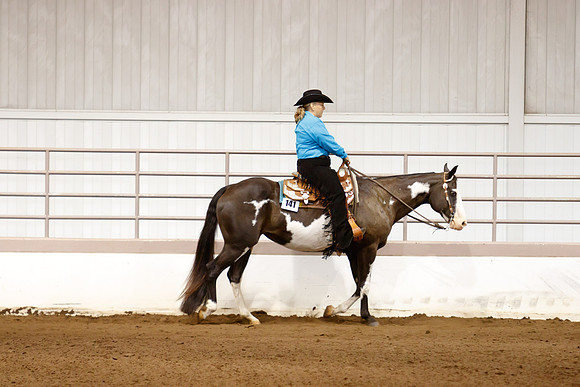 www.ngaphoto.com 2015 Georgia Federation of Saddle Clubs Championship Horse Show