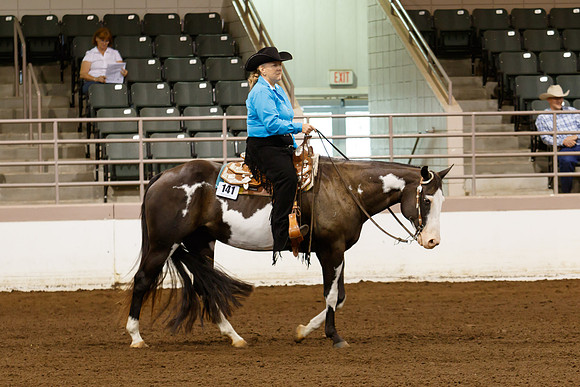 www.ngaphoto.com 2015 Georgia Federation of Saddle Clubs Championship Horse Show