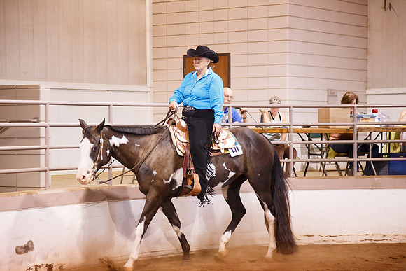 www.ngaphoto.com 2015 Georgia Federation of Saddle Clubs Championship Horse Show