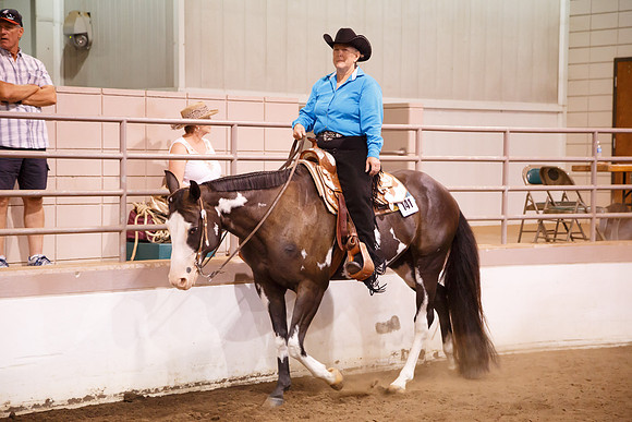 www.ngaphoto.com 2015 Georgia Federation of Saddle Clubs Championship Horse Show