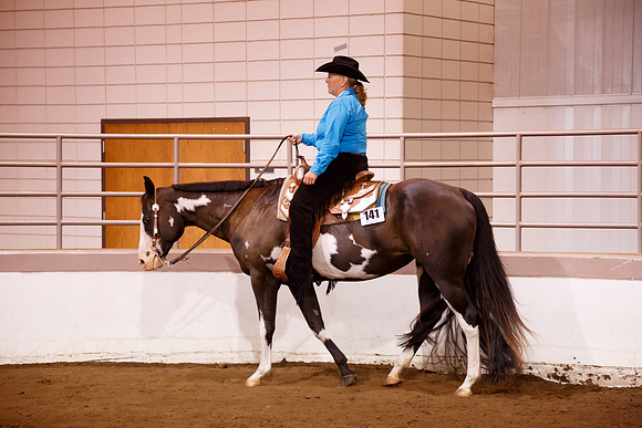 www.ngaphoto.com 2015 Georgia Federation of Saddle Clubs Championship Horse Show