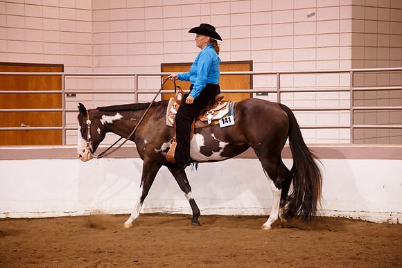 www.ngaphoto.com 2015 Georgia Federation of Saddle Clubs Championship Horse Show