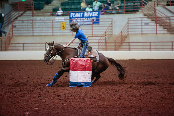 www.ngaphoto.com 2015 Georgia Federation of Saddle Clubs Championship Horse Show