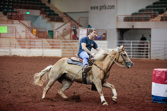 www.ngaphoto.com 2015 Georgia Federation of Saddle Clubs Championship Horse Show