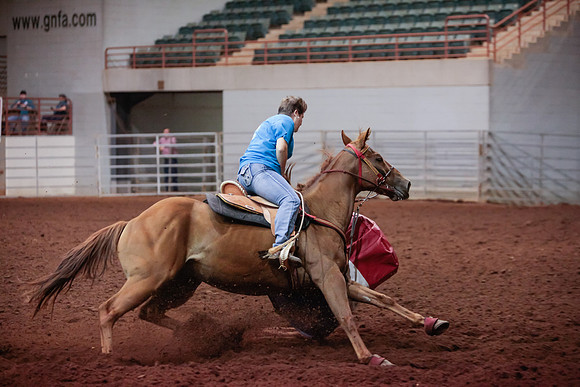 www.ngaphoto.com 2015 Georgia Federation of Saddle Clubs Championship Horse Show