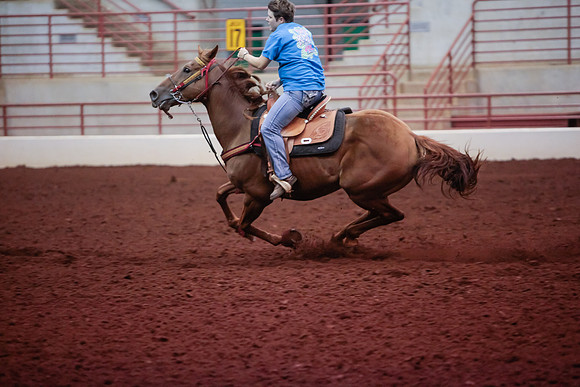 www.ngaphoto.com 2015 Georgia Federation of Saddle Clubs Championship Horse Show
