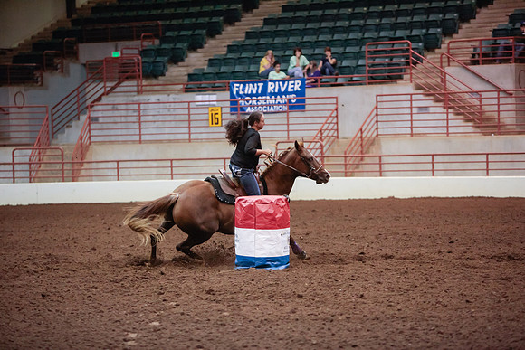 www.ngaphoto.com 2015 Georgia Federation of Saddle Clubs Championship Horse Show