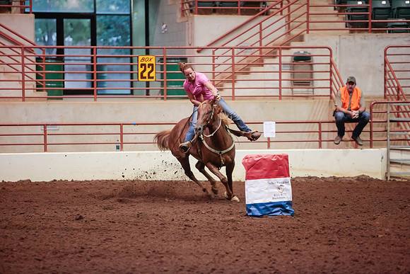 www.ngaphoto.com 2015 Georgia Federation of Saddle Clubs Championship Horse Show