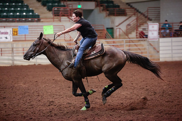 www.ngaphoto.com 2015 Georgia Federation of Saddle Clubs Championship Horse Show