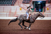 www.ngaphoto.com 2015 Georgia Federation of Saddle Clubs Championship Horse Show