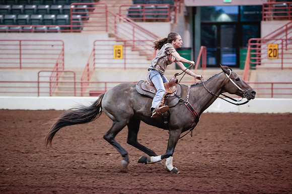 www.ngaphoto.com 2015 Georgia Federation of Saddle Clubs Championship Horse Show