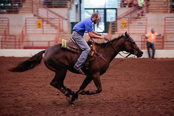 www.ngaphoto.com 2015 Georgia Federation of Saddle Clubs Championship Horse Show