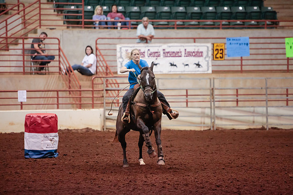 www.ngaphoto.com 2015 Georgia Federation of Saddle Clubs Championship Horse Show