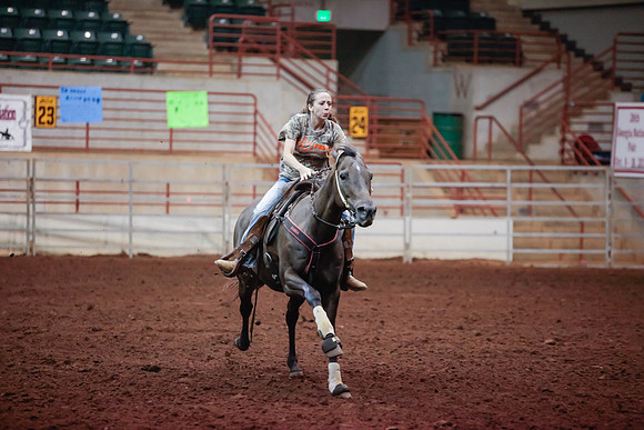 www.ngaphoto.com 2015 Georgia Federation of Saddle Clubs Championship Horse Show