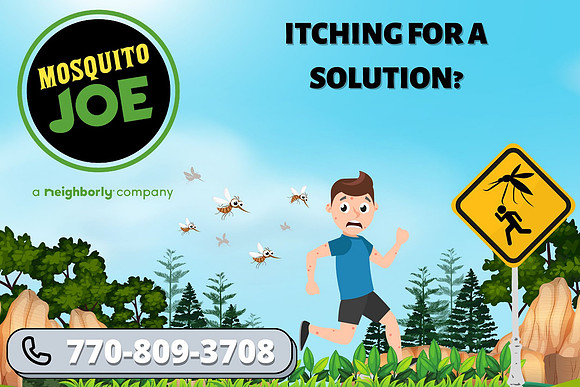 Mosquito Joe Contact Card