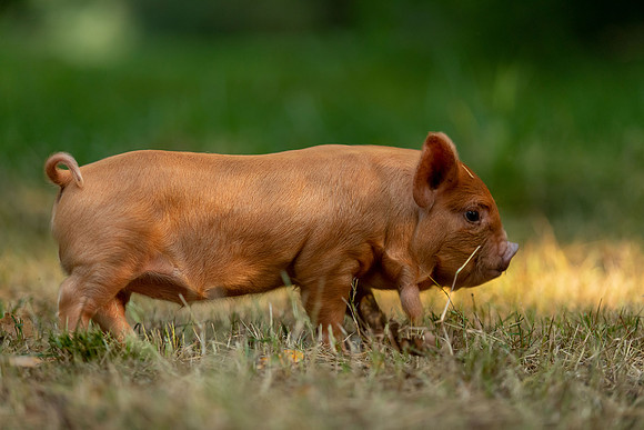 20230617-IMG_0695