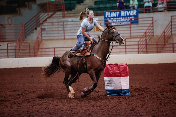 www.ngaphoto.com 2015 Georgia Federation of Saddle Clubs Championship Horse Show