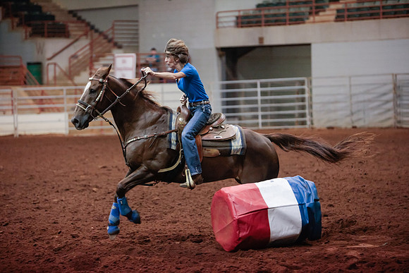 www.ngaphoto.com 2015 Georgia Federation of Saddle Clubs Championship Horse Show