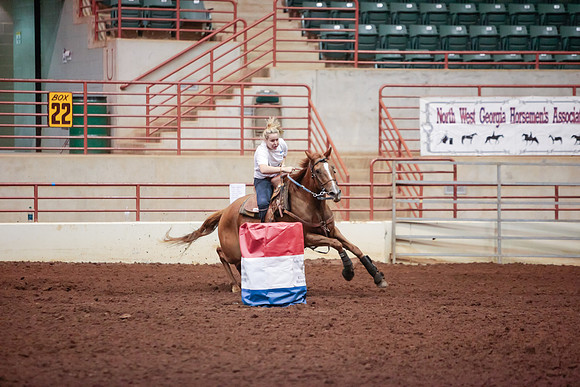 www.ngaphoto.com 2015 Georgia Federation of Saddle Clubs Championship Horse Show