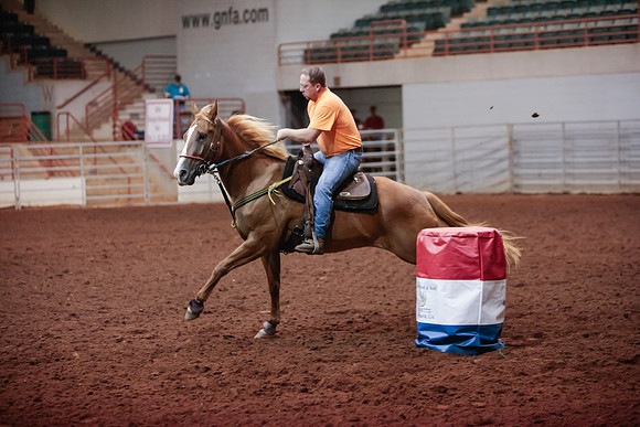 www.ngaphoto.com 2015 Georgia Federation of Saddle Clubs Championship Horse Show
