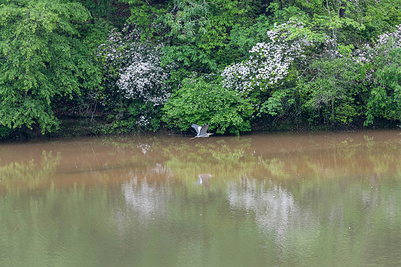 20230508-IMG_9967