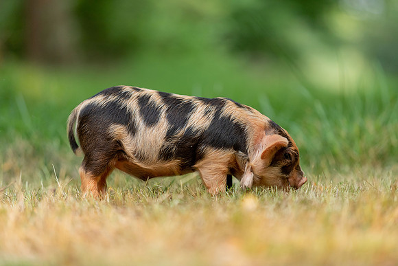 20230617-IMG_1134
