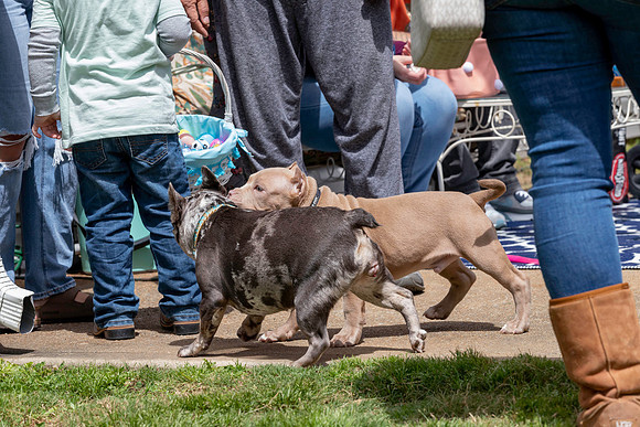 20230409-IMG_9469