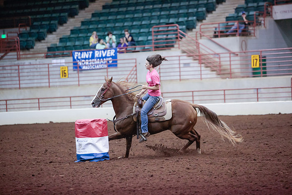 www.ngaphoto.com 2015 Georgia Federation of Saddle Clubs Championship Horse Show