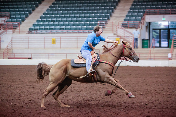 www.ngaphoto.com 2015 Georgia Federation of Saddle Clubs Championship Horse Show