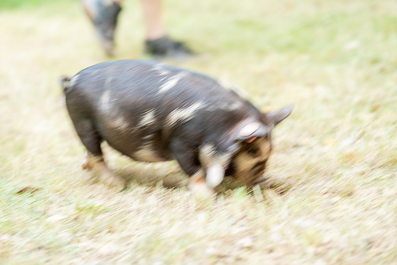 20230617-IMG_1380