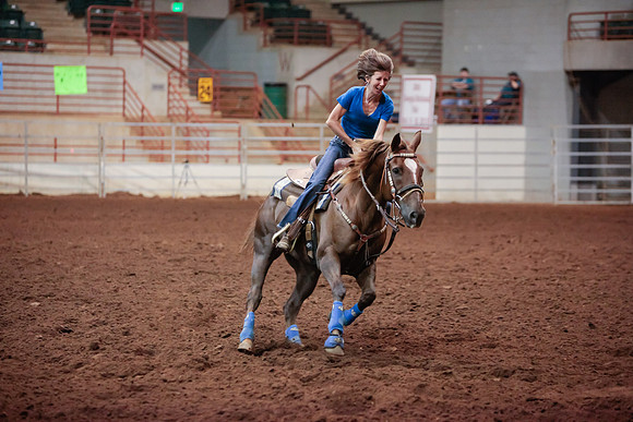 www.ngaphoto.com 2015 Georgia Federation of Saddle Clubs Championship Horse Show