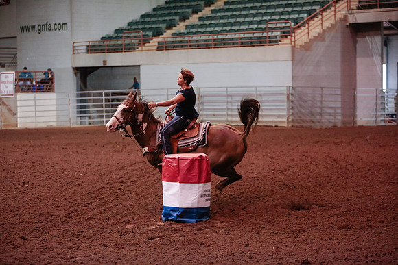 www.ngaphoto.com 2015 Georgia Federation of Saddle Clubs Championship Horse Show