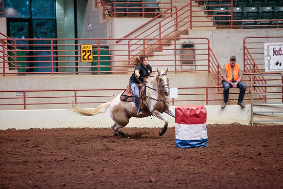 www.ngaphoto.com 2015 Georgia Federation of Saddle Clubs Championship Horse Show