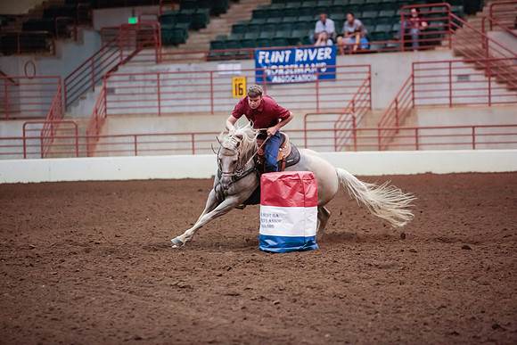 www.ngaphoto.com 2015 Georgia Federation of Saddle Clubs Championship Horse Show