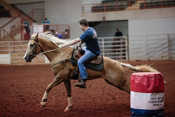 www.ngaphoto.com 2015 Georgia Federation of Saddle Clubs Championship Horse Show